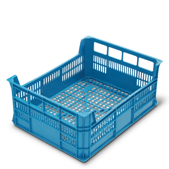 Bandeja exportação frutas